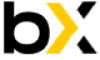 Bincryptex logotype